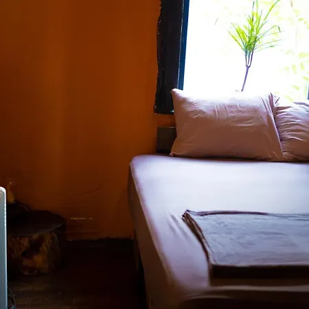 Homestay Vakana House *