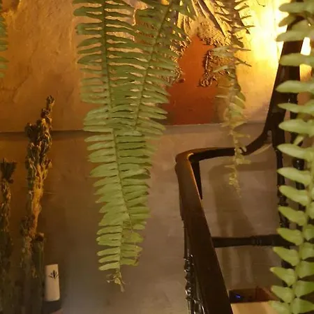 Vakana House