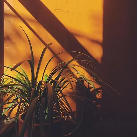 Vakana House 이즈미르